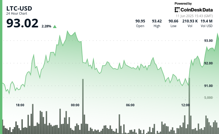 Litecoin Rebounds, Holds Agency on Positioning for Potential ETF Litecoin Rebounds, Holds Firm on Positioning for Potential ETF