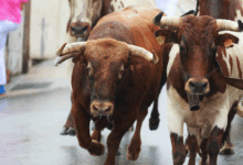 BTC Price Retreats From $108K, But Bulls Aren’t Done