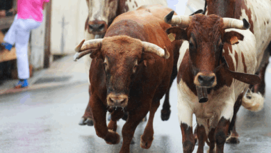 BTC Price Retreats From $108K, But Bulls Aren’t Done