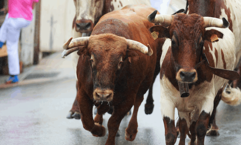 BTC Price Retreats From $108K, But Bulls Aren’t Done