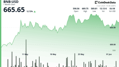 BNB Rises on Growing Regulatory Clarity, Renewed Trading Activity