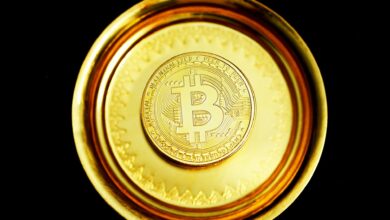 Analysts Say Bitcoin's Long-Term Focus Is Easing War Jitters
