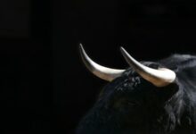 Crypto Custody Firm Taurus Releases Open Source Privacy Tech for Stablecoins