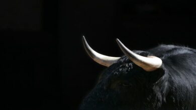 Crypto Custody Firm Taurus Releases Open Source Privacy Tech for Stablecoins