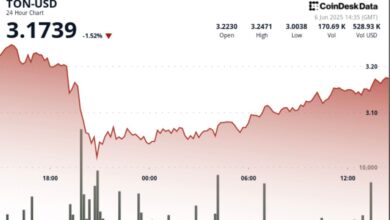 TON Finds 'Strong Support' at $3.00 Level Amid Wild Crypto Price Swings