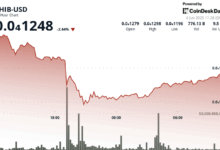 Shiba Inu Recovers Amid Massive $36M Whale Transaction; Still Stuck in Downward Channel
