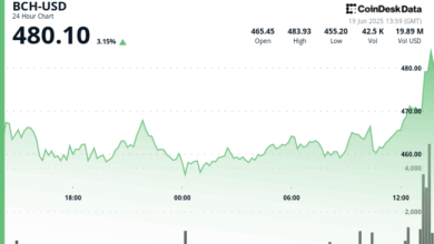 BCH Hits $480 After Volume Surges 22% Above 30-Day Average During Crypto Rebound