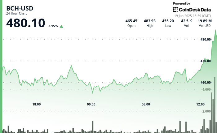 BCH Hits $480 After Quantity Surges 22% Above 30-Day Common Throughout Crypto Rebound BCH Hits $480 After Volume Surges 22% Above 30-Day Average During Crypto Rebound