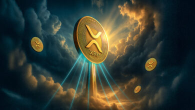 Number of XRP holders almost doubled within six months, overtaking Solana
