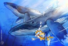 Satoshi-Era Bitcoin Whale Moves Half Its Stack