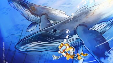 Satoshi-Era Bitcoin Whale Moves Half Its Stack