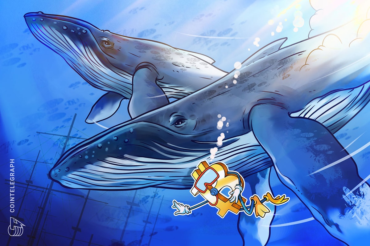 Satoshi-Period Bitcoin Whale Strikes Half Its Stack Satoshi-Era Bitcoin Whale Moves Half Its Stack