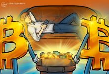 Bitcoin Mining CEO Pay Sparks Shareholder Revolt