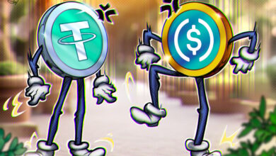 Tether USDT Beats Rival USDC Stablecoin On BitPay In 2025