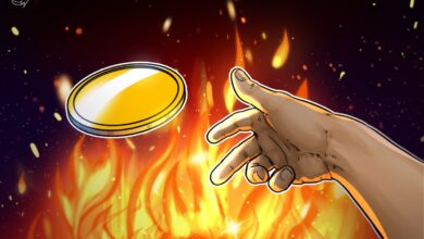 Burn the tokens, keep the loot: Play-to-own games come next