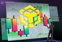 Nano Labs Makes First Purchase In Lofty BNB Stockpile Plan
