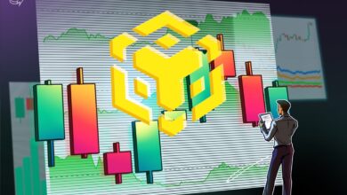Nano Labs Makes First Purchase In Lofty BNB Stockpile Plan
