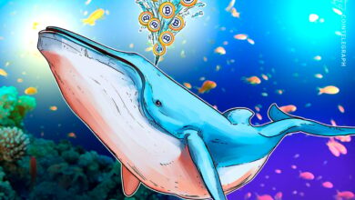 No Indications of Sell-Off in $8.6B Bitcoin Whale Transfer