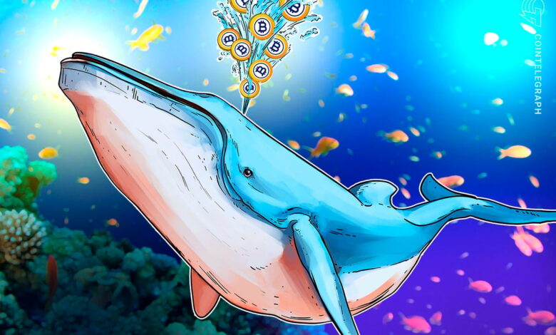 No Indications of Sell-Off in $8.6B Bitcoin Whale Transfer