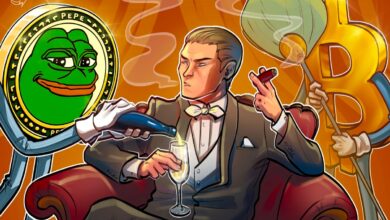 James Wynn Returns with $19M Bitcoin, $100k PEPE Bet