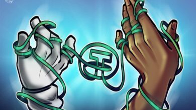 USDt Market Cap Hits $160 Billion, Cementing Role as Digital Dollar