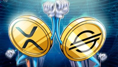 XLM Could Follow XRP’s Rally And Break $1 In 2025