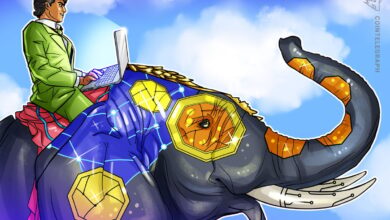 COINS Act Model Law to Guide India’s Crypto Regulation