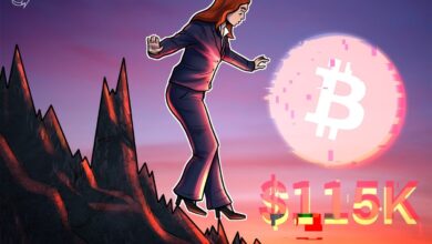 Bitcoin Faces 'Reduced Bullish Intensity' as Traders Focus on $115,000