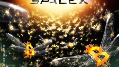 Spacex Moves $153M BTC After Three-Year Silence