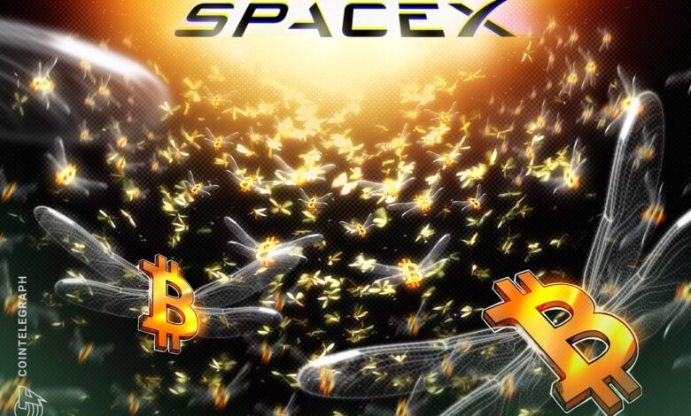 Spacex Moves $153M BTC After Three-Year Silence