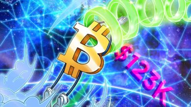 Bitcoin Price Pinned Below $120K But Analysts Say BTC Upside is Not Over