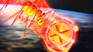 XRP 10% Plunge Not The End Of Rally, Says Crypto Exec