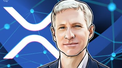 Ripple Co-Founder Moves $175M XRP, Drawing Criticism Over Timing