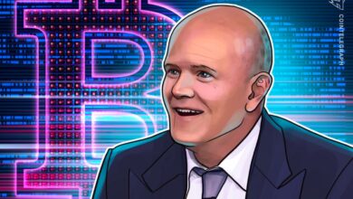 Ether May Soon Outperform Bitcoin: Michael Novogratz