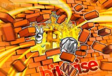 Bitcoin To See 'Up Year' In 2026, And A More Steady Boom