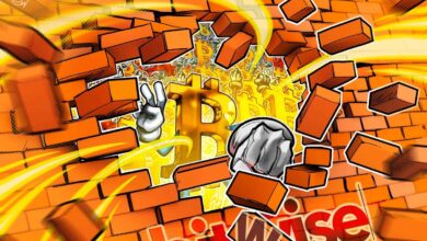 Bitcoin To See 'Up Year' In 2026, And A More Steady Boom