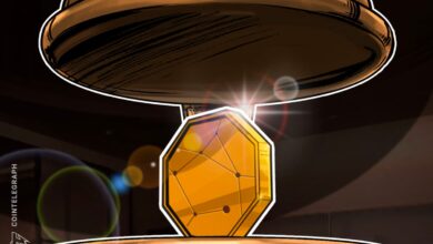 Crypto Investor Lawsuits To Outpace 2024: Report
