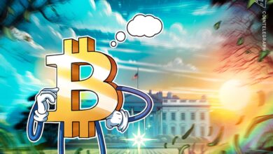 No Bitcoin Reserve Update In White House Crypto Report