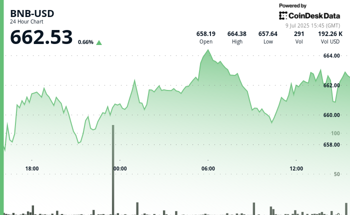 Why is BNB Up Right now Quicker Blocks and Tokenized Shares Spark Investor Curiosity Why is BNB Up Today Faster Blocks and Tokenized Stocks Spark Investor Interest