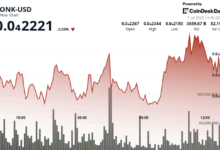 Solana Memecoin Breaks Out on ETF Rumors and BONKbot Fee Surge