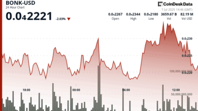 Solana Memecoin Breaks Out on ETF Rumors and BONKbot Fee Surge