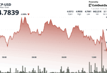 ICP Reclaims Momentum After Bouncing Off Key Support