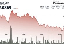 NEAR Protocol Falls 2% as Support Level Faces Critical Test