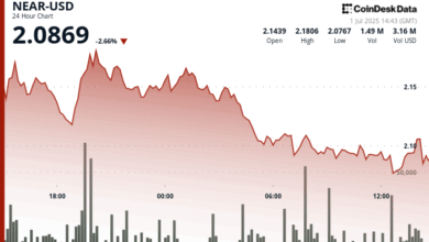 NEAR Protocol Falls 2% as Support Level Faces Critical Test