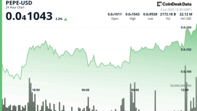 Why is PEPE up Today? Price Rises 3% as Whale Holdings Climb