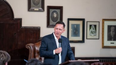 Bitmine Immersion (BMNR) Gains on Peter Thiel's Stake