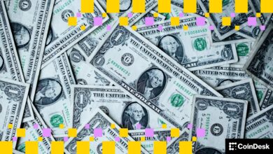 The New Gold Rush Is… Stablecoins?