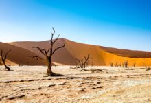 Stone Cold Bitcoin Price Drains Bull Mood From Long-Term Options: Crypto Daybook Americas