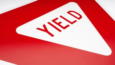 Deribit Offering Yield for USDC Holders