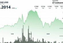 DOGE Surges 9% Before Sharp Reversal as $0.213 Resistance Halts Rally